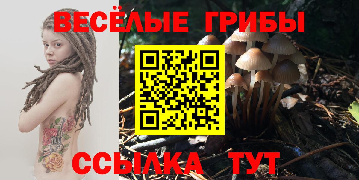 Галлюциногенные грибы MAGIC MUSHROOMS  Вход с VPN  Моздок  Псилоцибиновые грибы прущие грибы 